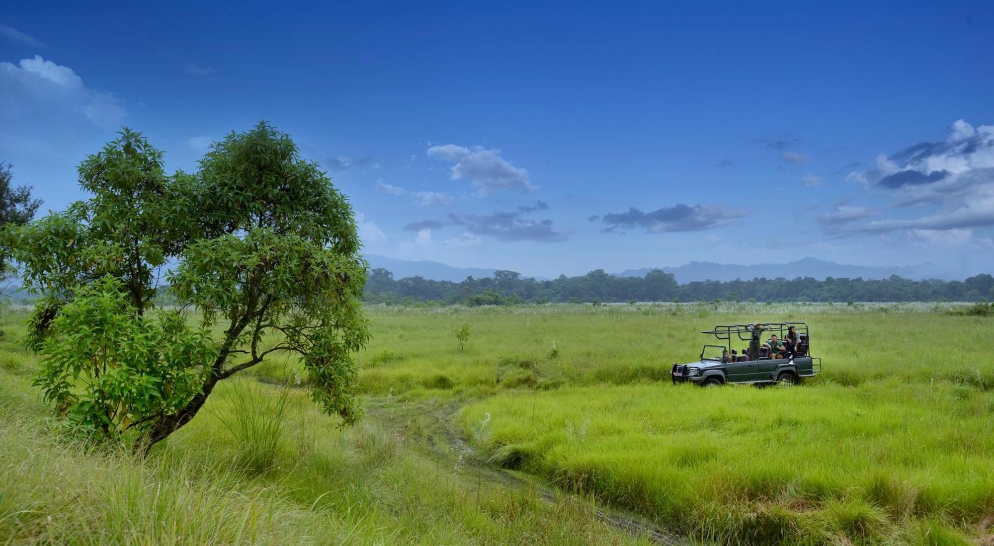 Barahi Jungle Lodge Meghauli Eksteriør billede