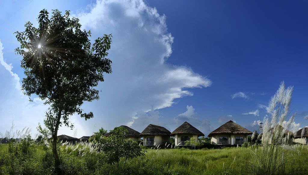 Barahi Jungle Lodge Meghauli Eksteriør billede