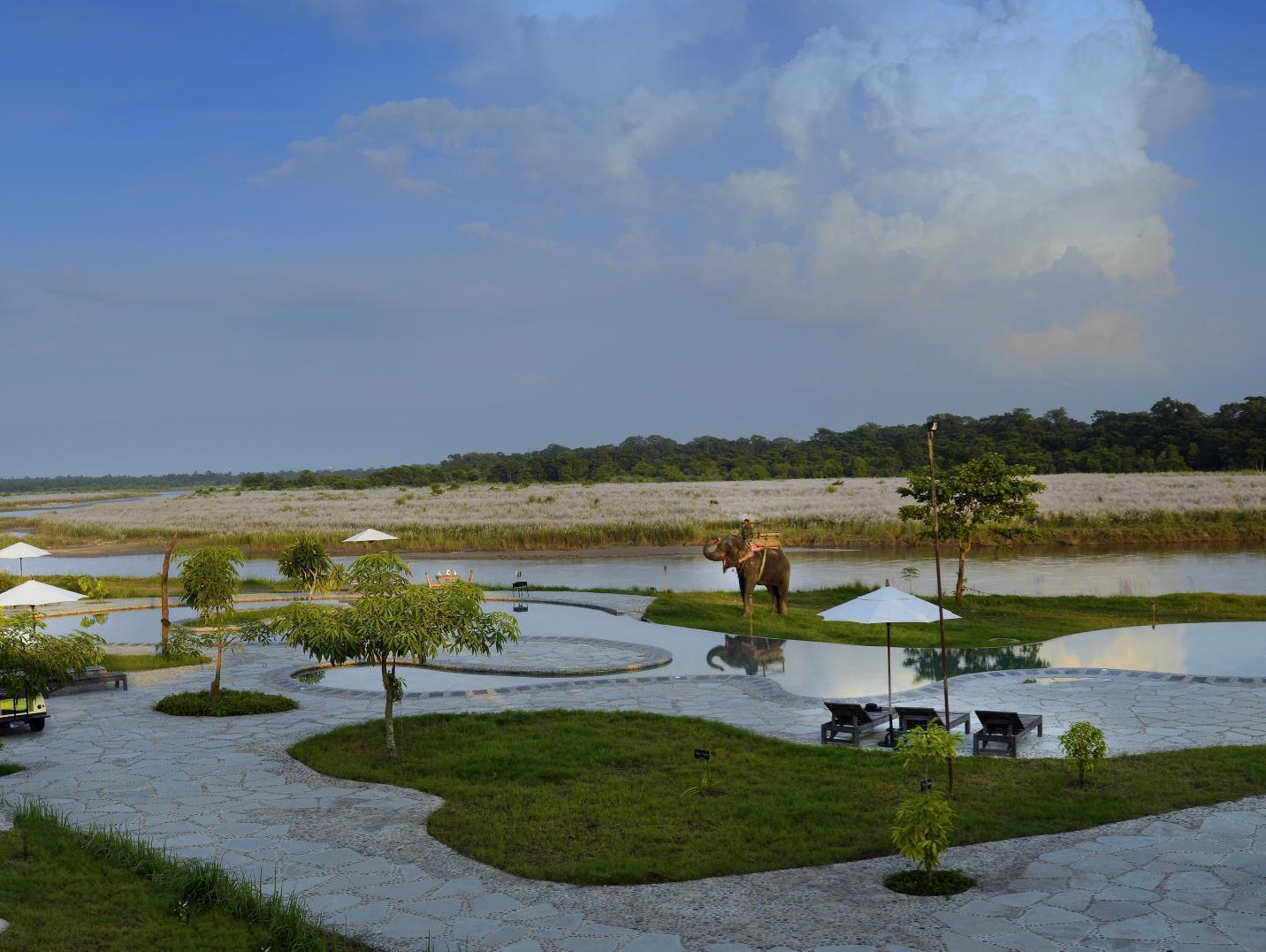 Barahi Jungle Lodge Meghauli Eksteriør billede
