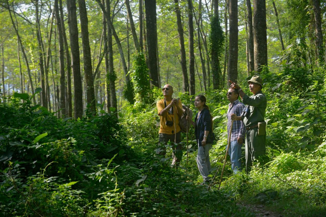 Barahi Jungle Lodge Meghauli Eksteriør billede
