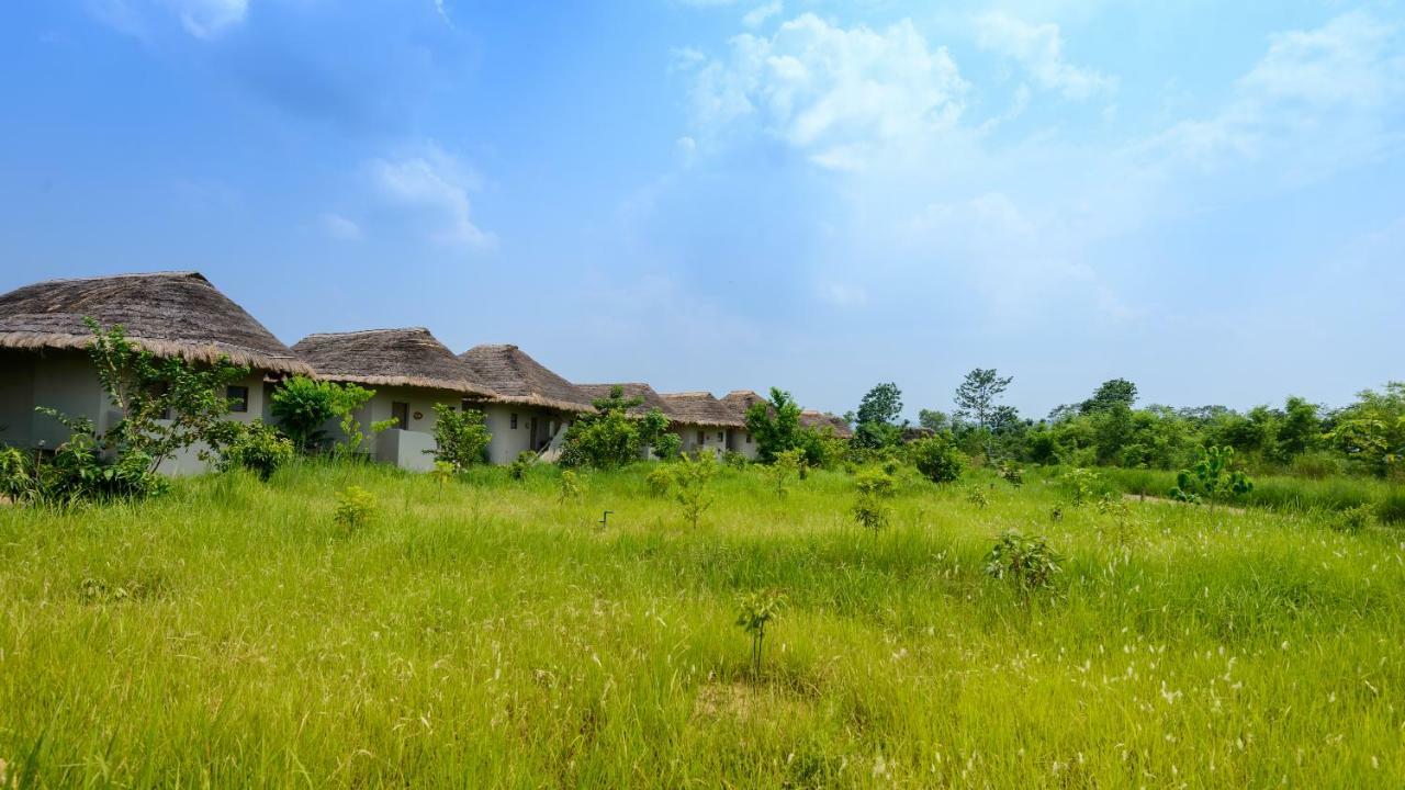Barahi Jungle Lodge Meghauli Eksteriør billede